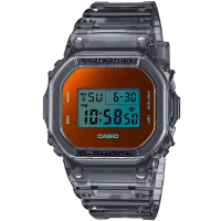 фото Casio DW-5600TLS-8E