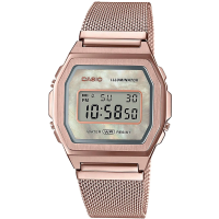 фото Casio A1000MCG-9E