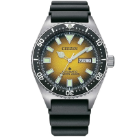 фото Citizen NY0120-01X